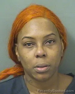 Booking photo from Palm Beach County, Florida