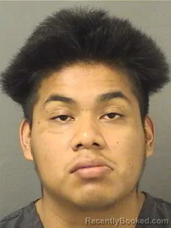 Mugshot of JOHNNY RONALD DELEONRAMIREZ