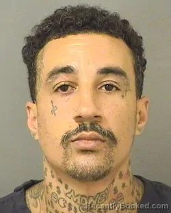 Booking photo from Palm Beach County, Florida