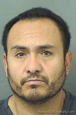 Mugshot of JUAN M ALBIZANAYA