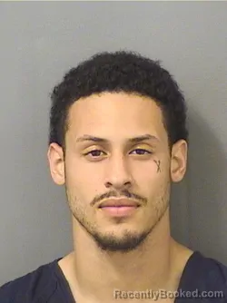 Booking photo from Palm Beach County, Florida