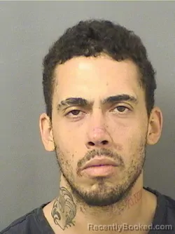 Mugshot of BRYAN WILLIAM ANDERSON