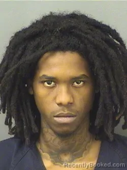 Booking photo from Palm Beach County, Florida