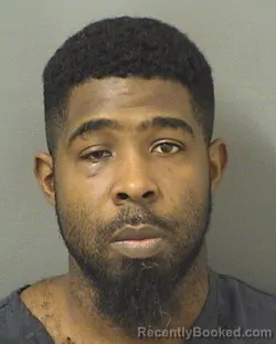 Mugshot of JERRYL L JOHNSON