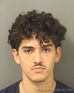 Booking photo from Palm Beach County, Florida