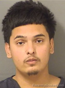 Booking photo from Palm Beach County, Florida