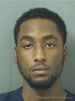 Mugshot of BRAVE PIERRELOUIS