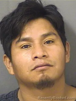 Mugshot of FRANCISCO MATOM