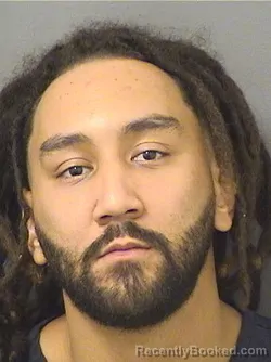 Mugshot of ANGEL LUIS CANCELURENA