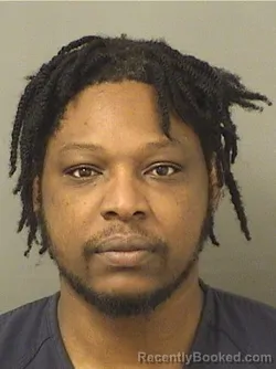 Mugshot of TY HERNO MESIDOR