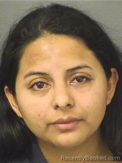 Mugshot of LUCY H SILVESTRE