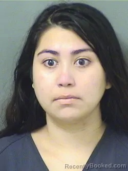 Booking photo from Palm Beach County, Florida