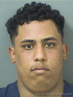 Booking photo from Palm Beach County, Florida