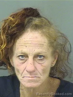 Mugshot of TANYA L ROSARIO