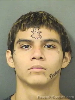 Booking photo from Palm Beach County, Florida