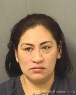 Mugshot of ARGENTINA MUXVELASQUEZDEVELASCO