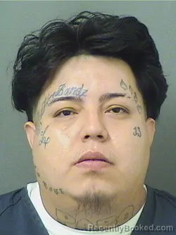 Mugshot of JOSE A SANCHEZ