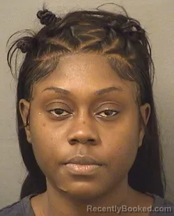 Booking photo from Palm Beach County, Florida
