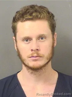 Mugshot of ROBERT DYE