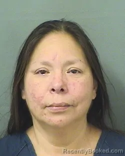Mugshot of ANDREA CABRERA