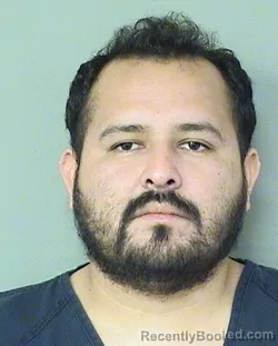 Mugshot of ELUVY SOLORZANOZAMORANO