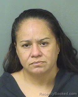 Mugshot of NANCY BELEN BATREZ