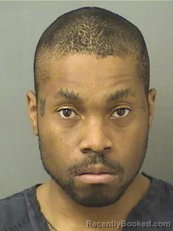 Mugshot of NATURECHRISHANNIBAL BOBO