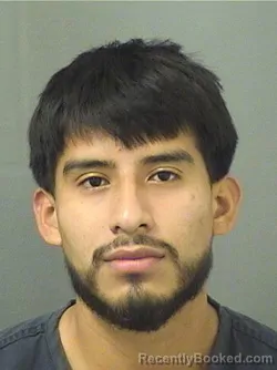 Mugshot of DELFINO MATUSSIERRA