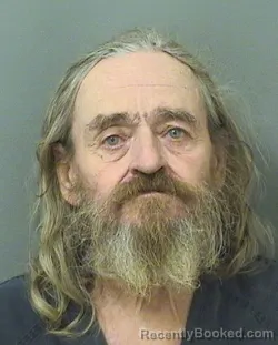 Mugshot of WALLACE DALE WILLIAMS