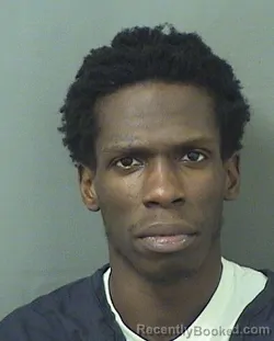 Mugshot of BERNE ALLY MICHAUD