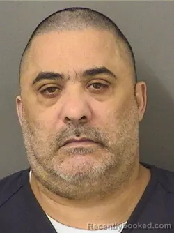 Mugshot of NELSON NEGRINSANABRIA