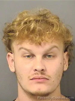 Mugshot of RAYMOND GONZALES