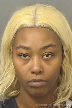 Mugshot of DANNESHA L CANNON