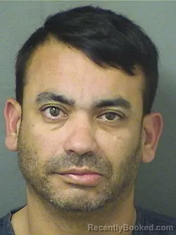 Mugshot of FERNANDO JAVIER VILLALOBOSALDANA