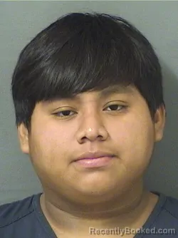 Mugshot of BRIAN GASPARPASCUAL