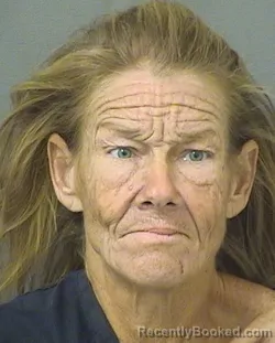 Mugshot of LAURA A DELLAPIETRA