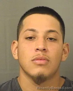 Mugshot of DANIEL RAMIREZBELTRAN