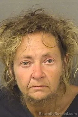 Mugshot of JENNY L MCINTYRE