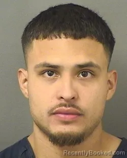Mugshot of FERNANDO ORDONEZ