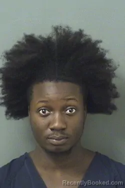 Booking photo from Palm Beach County, Florida