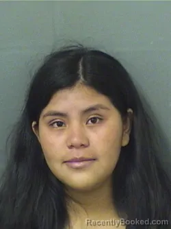 Booking photo from Palm Beach County, Florida