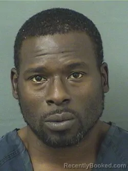 Mugshot of SAMMIE E WELLS