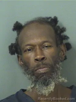 Booking photo from Palm Beach County, Florida