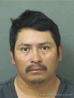 Mugshot of MARSELINO SALESSANCHEZ