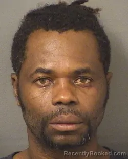 Mugshot of JODANEL JEAN