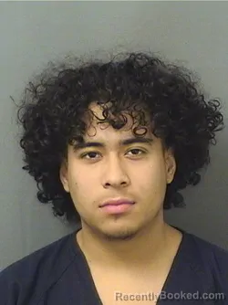 Mugshot of SERGIO ANDRADE