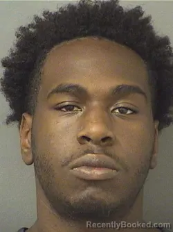 Mugshot of JIMMARI DARQUESE GEORGES