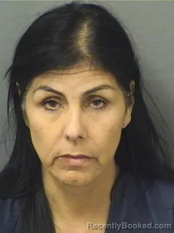 Mugshot of ELIZABETH ORTIZROLON