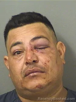 Mugshot of ANGEL HERRERA