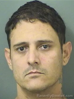 Mugshot of PAULO SOARESDOSSANTOS